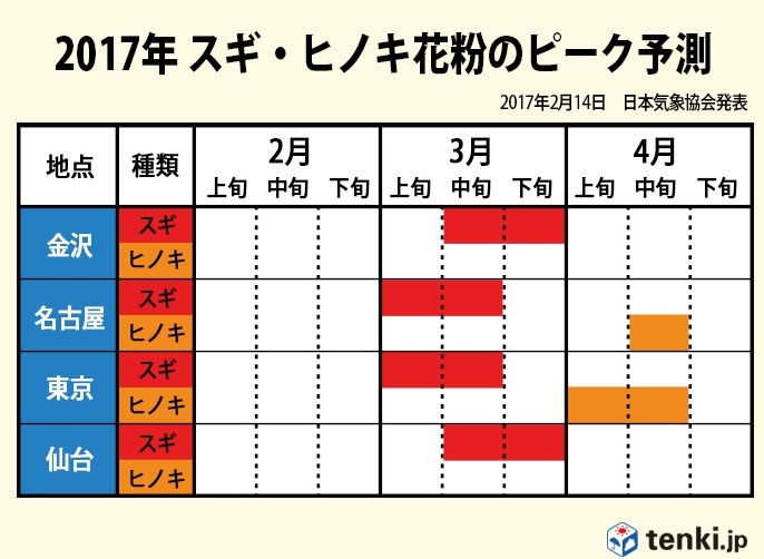 ヒノキ花粉症のピークが近づいています