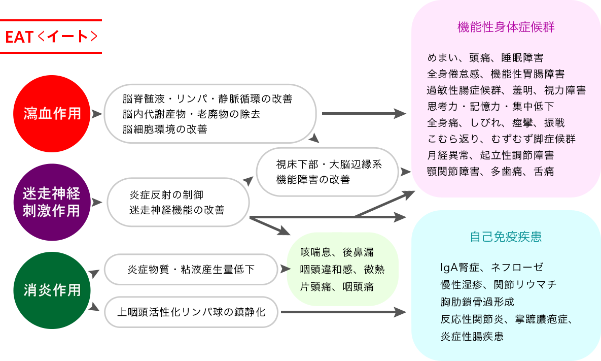 EAT2